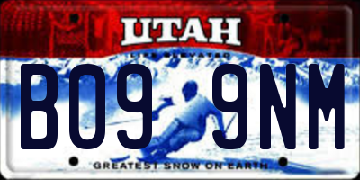 UT license plate B099NM