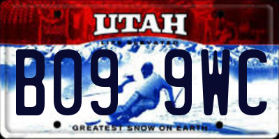 UT license plate B099WC