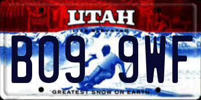 UT license plate B099WF