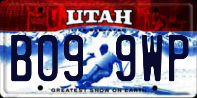 UT license plate B099WP