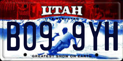 UT license plate B099YH