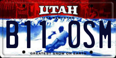UT license plate B110SM