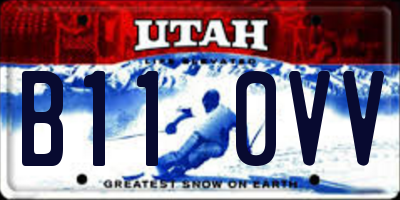 UT license plate B110VV