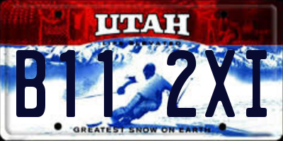 UT license plate B112XI