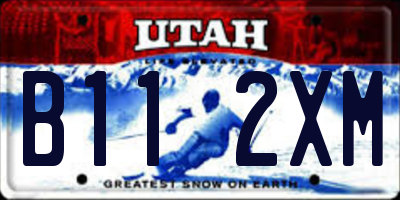 UT license plate B112XM