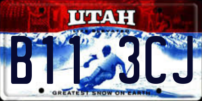 UT license plate B113CJ