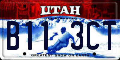 UT license plate B113CT