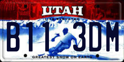 UT license plate B113DM