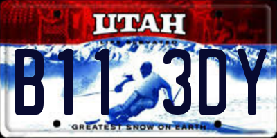 UT license plate B113DY