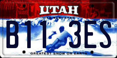 UT license plate B113ES