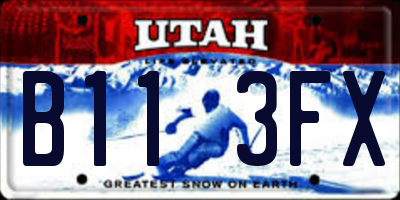 UT license plate B113FX