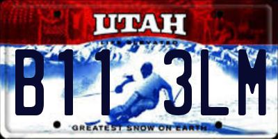 UT license plate B113LM