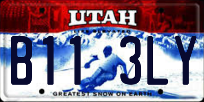 UT license plate B113LY
