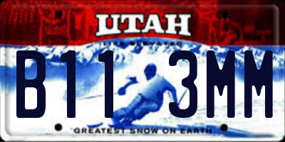 UT license plate B113MM