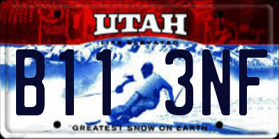 UT license plate B113NF
