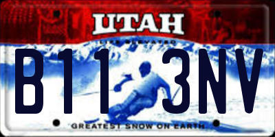 UT license plate B113NV