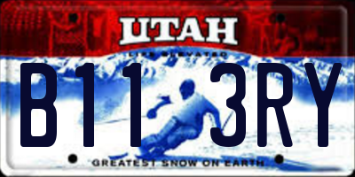 UT license plate B113RY