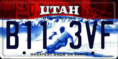UT license plate B113VF