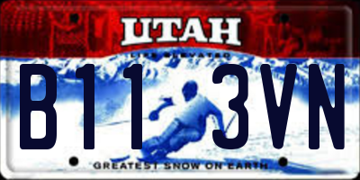 UT license plate B113VN