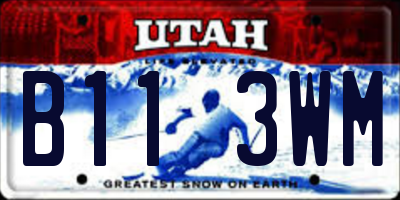 UT license plate B113WM
