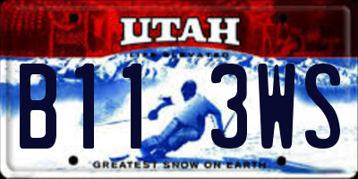 UT license plate B113WS