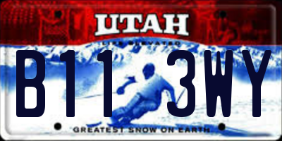 UT license plate B113WY
