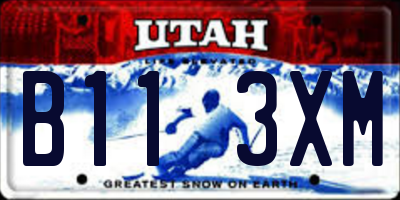 UT license plate B113XM