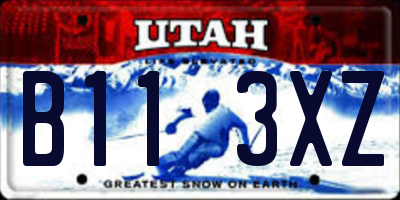 UT license plate B113XZ
