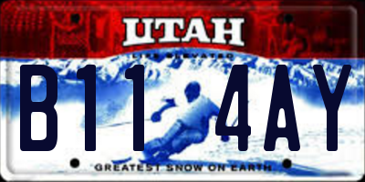 UT license plate B114AY