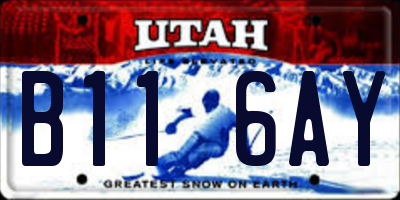 UT license plate B116AY