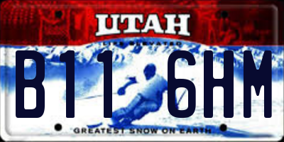 UT license plate B116HM