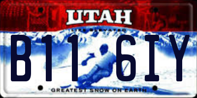 UT license plate B116IY