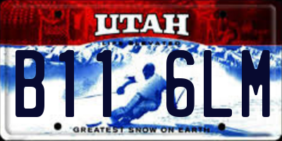 UT license plate B116LM