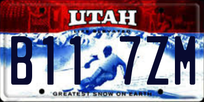 UT license plate B117ZM
