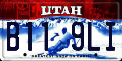 UT license plate B119LI