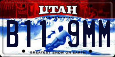 UT license plate B119MM