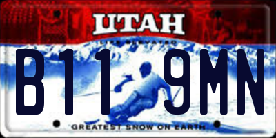 UT license plate B119MN
