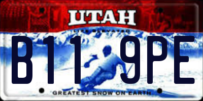 UT license plate B119PE