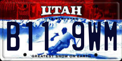 UT license plate B119WM