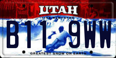 UT license plate B119WW