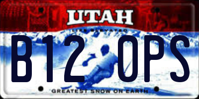UT license plate B120PS