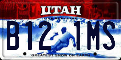 UT license plate B121MS