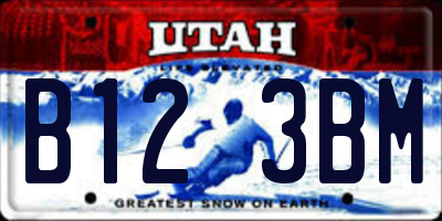 UT license plate B123BM