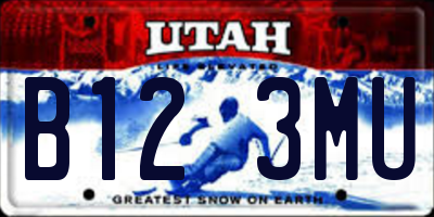 UT license plate B123MU