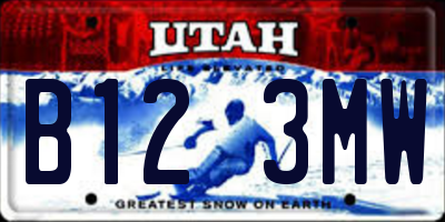 UT license plate B123MW