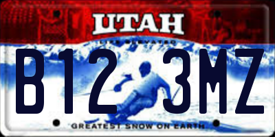 UT license plate B123MZ