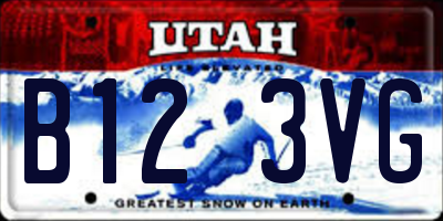 UT license plate B123VG
