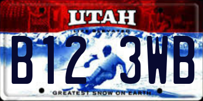 UT license plate B123WB