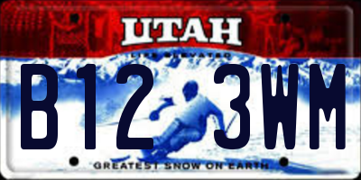 UT license plate B123WM