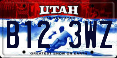 UT license plate B123WZ